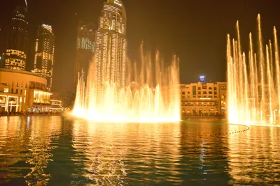 DSC_4144 (Large).JPG